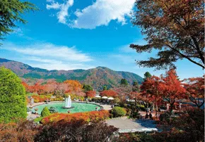 <h3>Día 6 – Gora: el pueblo escondido de Hakone</h3>