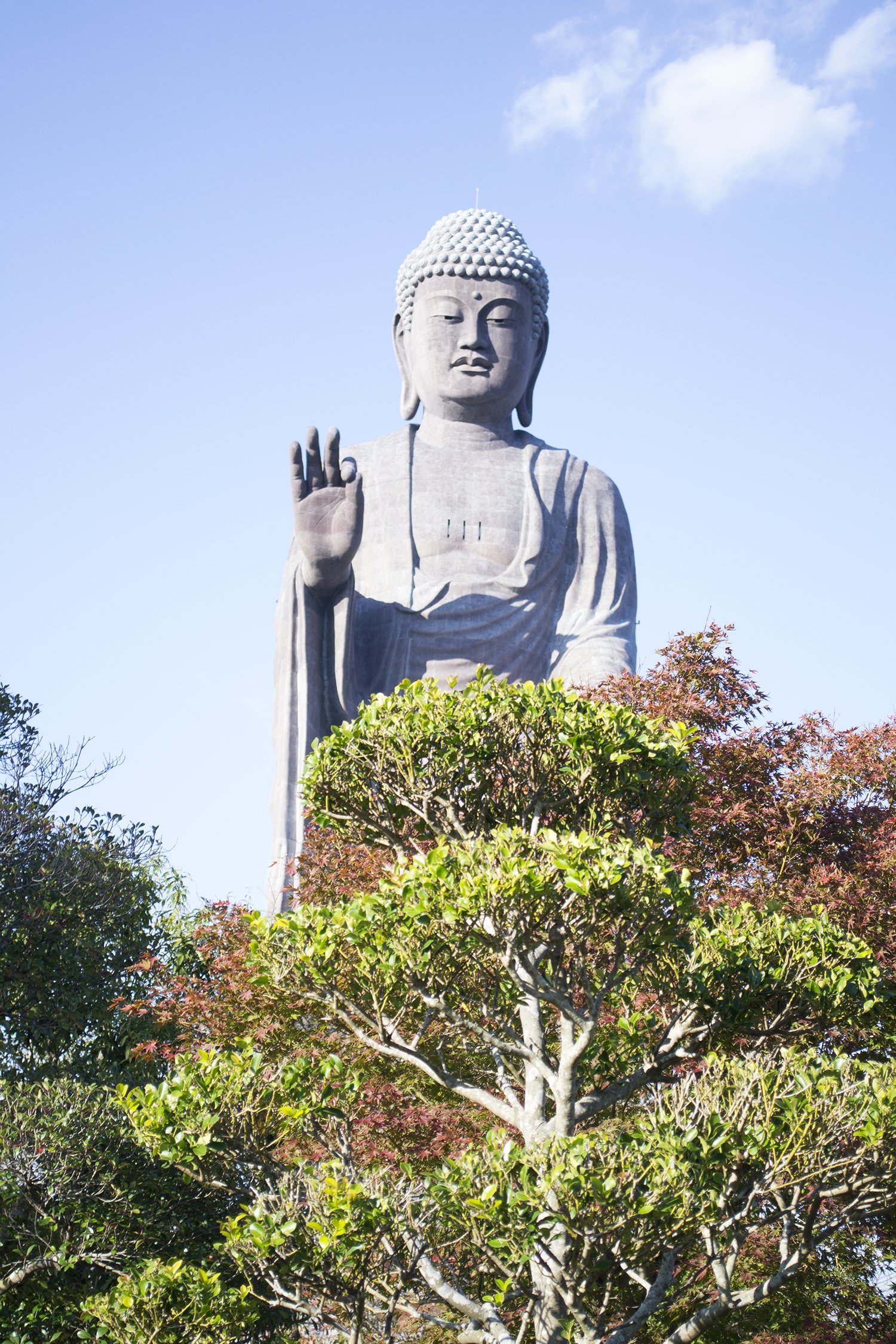 Buda desde el jardín del Ushiku Daibutsu