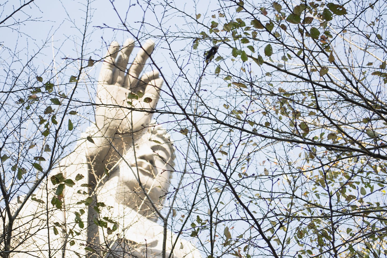 Ushiku Daibutsu desde el jardín