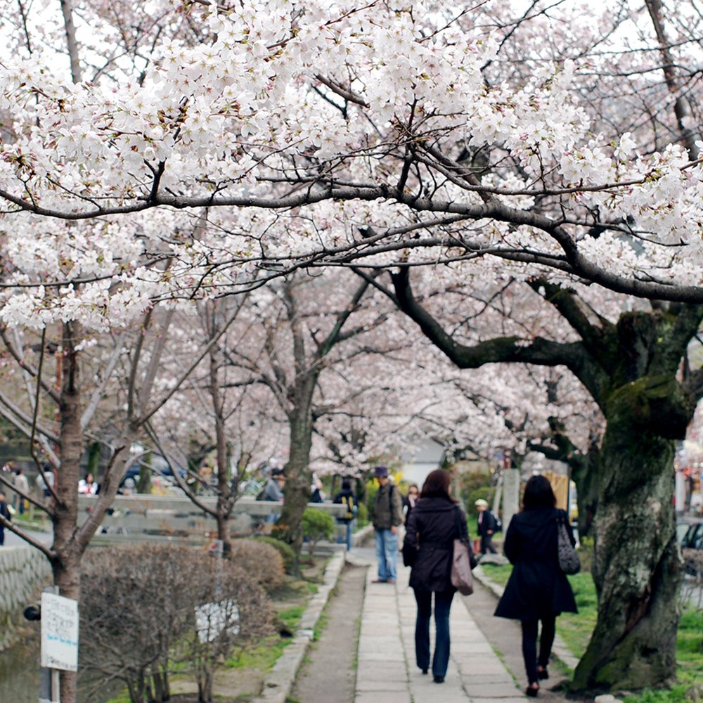 Paseo del Filósofo, al norte de Higashiyama
