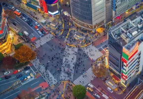 <h3>Día 13 – Tokio: la espectacular capital</h3>