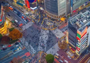 <h3>DÍA 11 – Tokio:  ciudad de contrastes</h3>