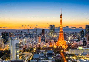 <h3>Día 11 – Tokio: tradición y modernidad</h3>