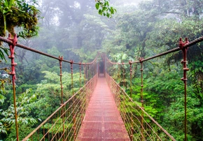 <h3>Día 7 – Monteverde</h3>