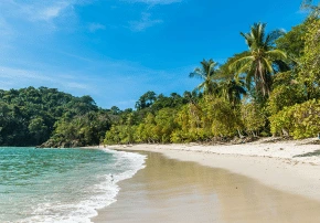dia 8 manuel antonio