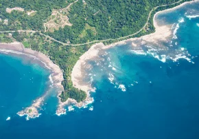 dia 9 marino ballena