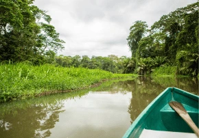 dia 3 tortuguero