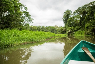 Parque Nacional de Tortuguero parque nacional de tortuguero