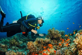 bucear maldivas buceo maldivas