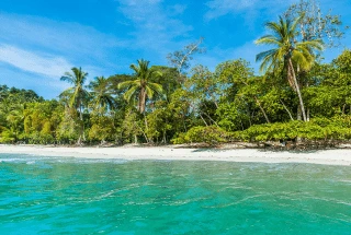 playas manuel antonio playas manuel antonio