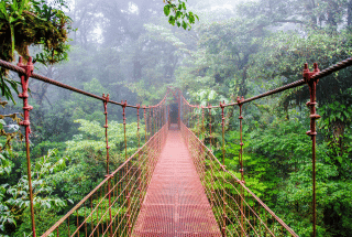 puentes colgantes monteverde puentes monteverde