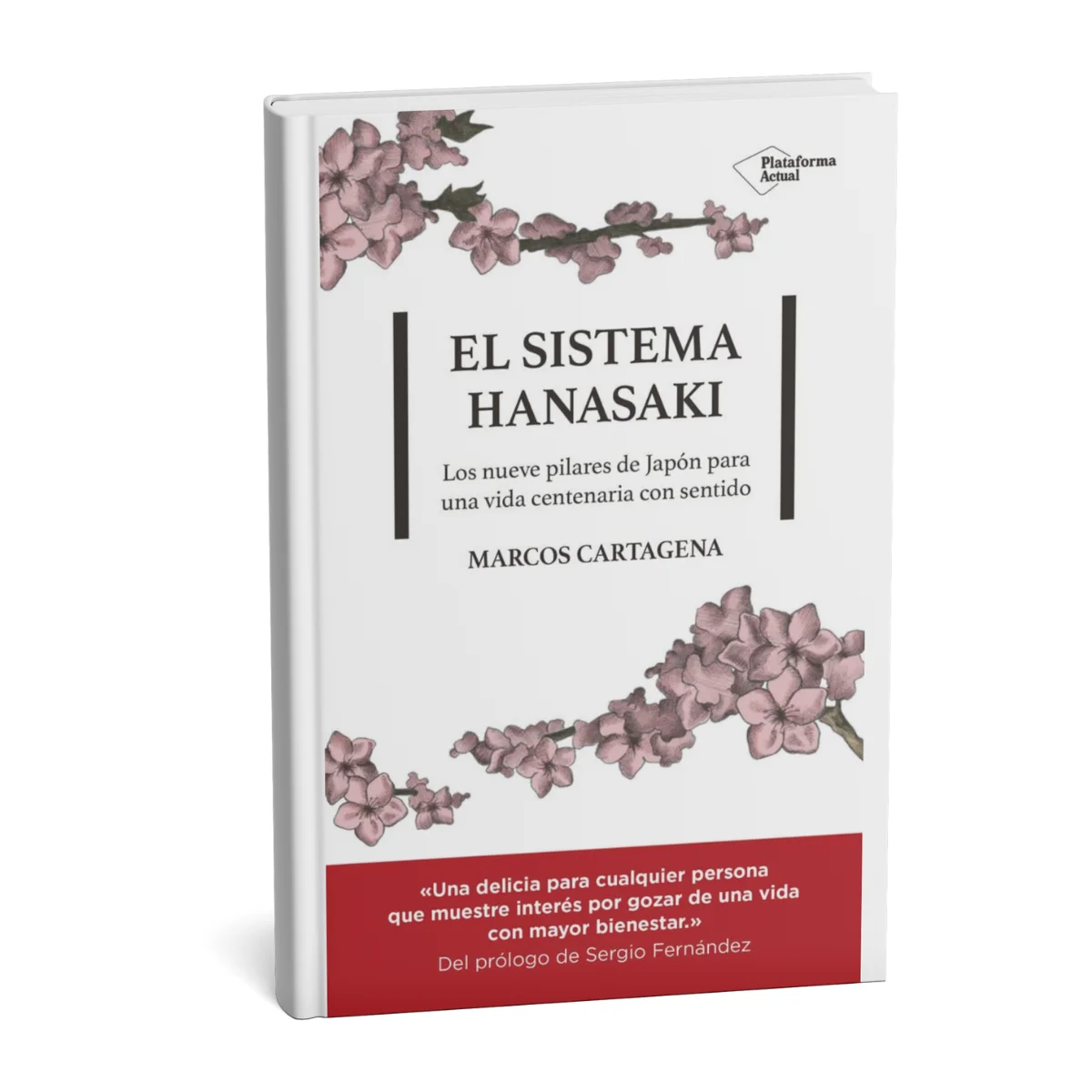 El Sistema Hanasaki