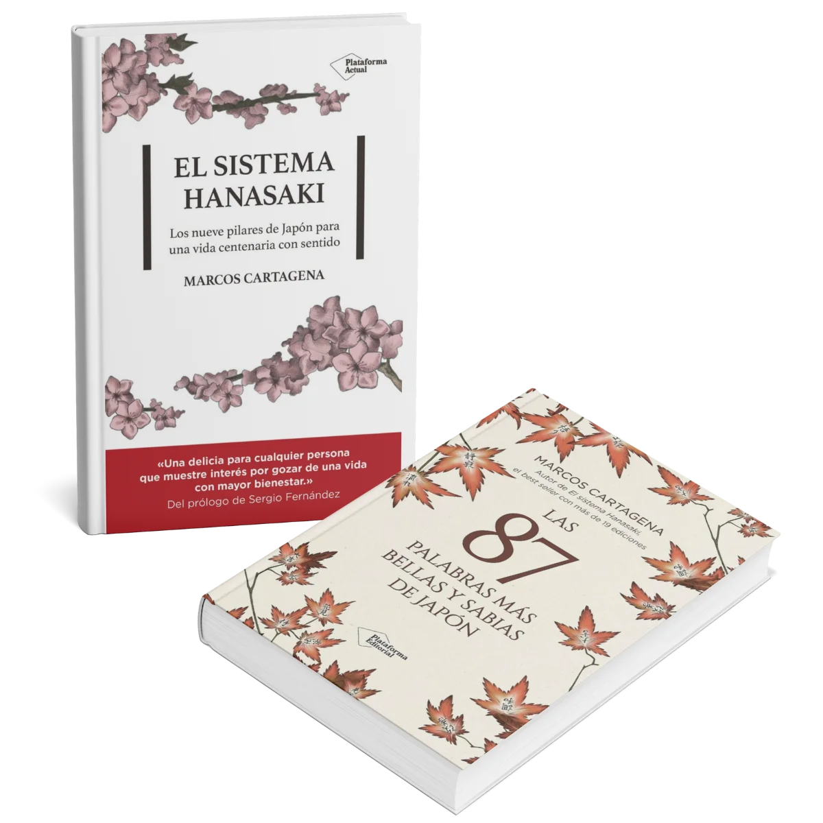 Los libros de Descubriendo Japón