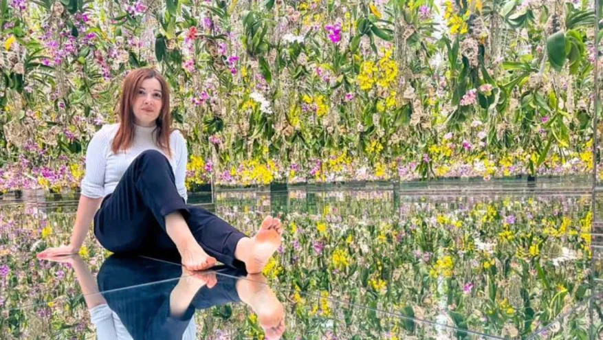 Anna en TeamLab