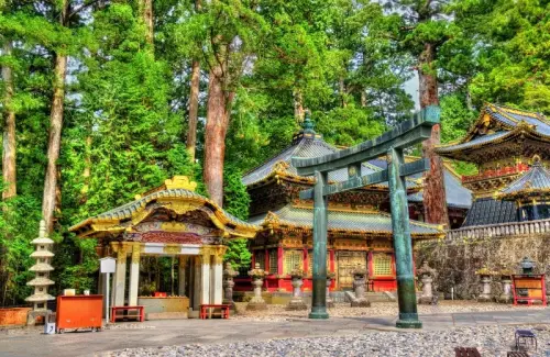 nikko