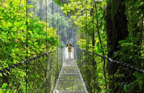 puentes colgantes monteverde